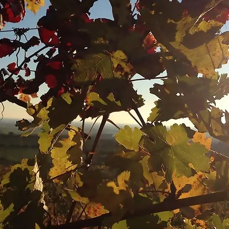 Farm stay La Torretta Da Valentina *